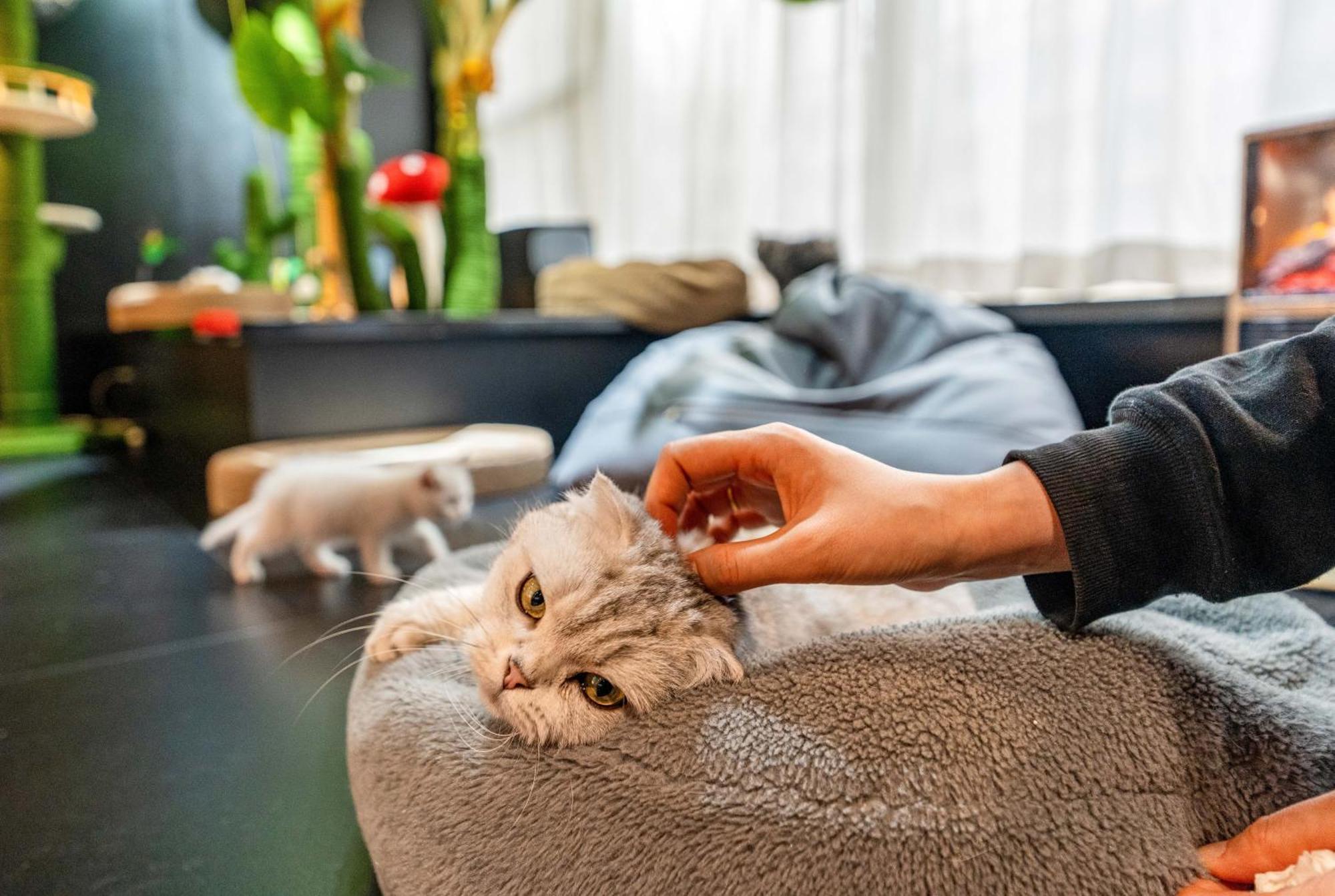 Hesu Designer Hotel & Suites -Near Xi'An Drum Tower And Yongning Gate -Free Laundry Luggage Storage -Kitty Cafe With Freshly Ground Coffee -24H Front Desk -English Service Xi'an (Shaanxi) Exterior foto